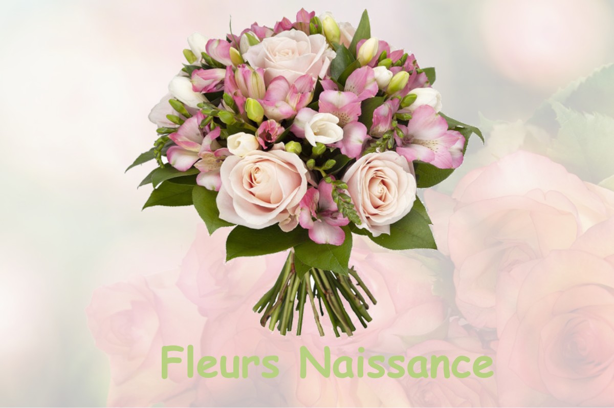 fleurs naissance BALBINS