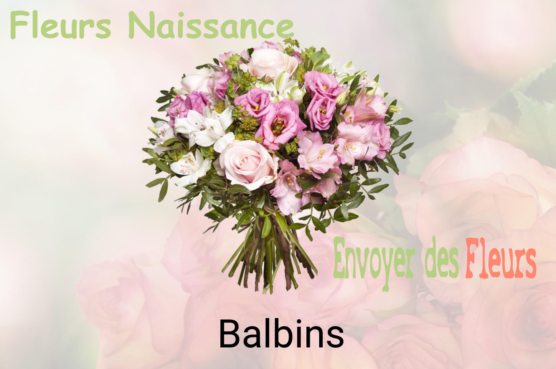 Bouquet de fleurs de naissance livré à Balbins