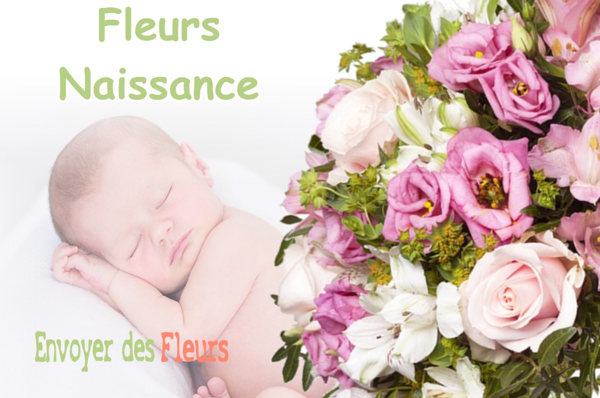 lIVRAISON FLEURS NAISSANCE à BALBINS